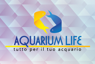 Acquari e Pesci Tropicali Aquarium Life - Messina